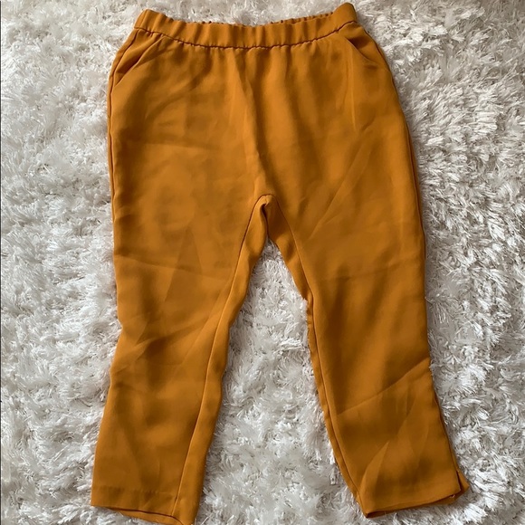 Zara Pants - Picture 1 of 3
